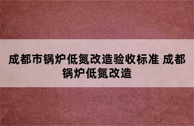 成都市锅炉低氮改造验收标准 成都锅炉低氮改造